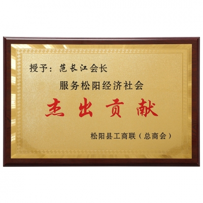 Serving the Songjiang Economic and Social Outstanding Contribution Award